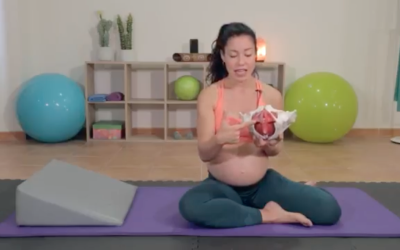 ejercicios suelo pélvico para embarazadas